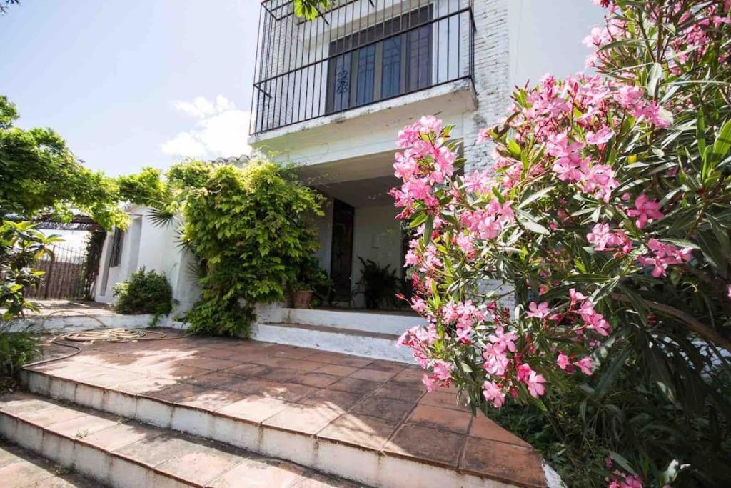 Cortijo Nerja Artist Paradise Extérieur photo