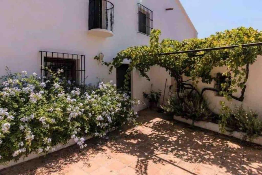 Cortijo Nerja Artist Paradise Extérieur photo