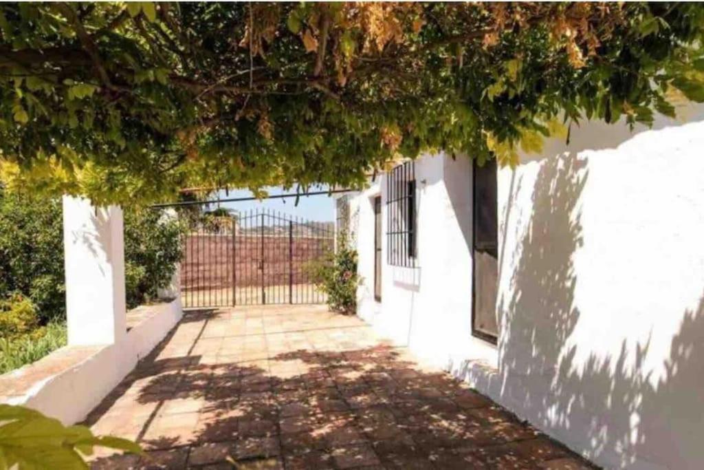 Cortijo Nerja Artist Paradise Extérieur photo