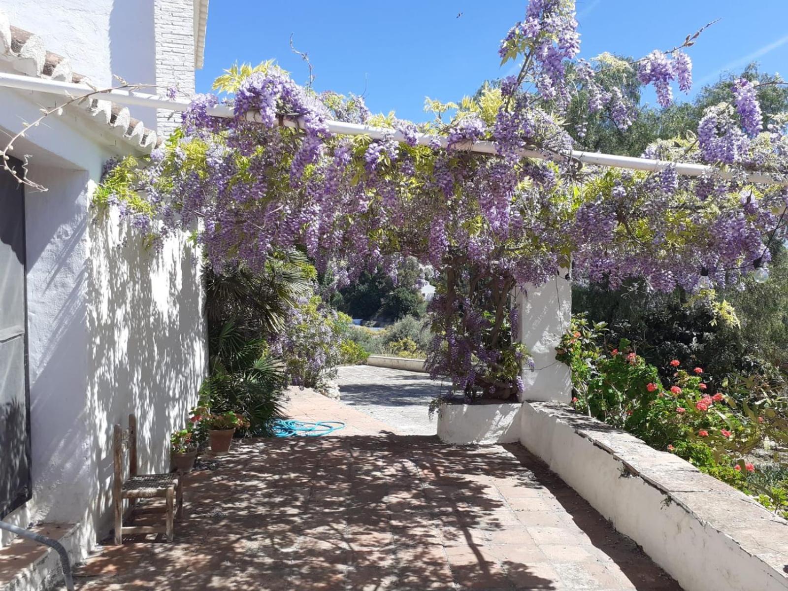 Cortijo Nerja Artist Paradise Extérieur photo