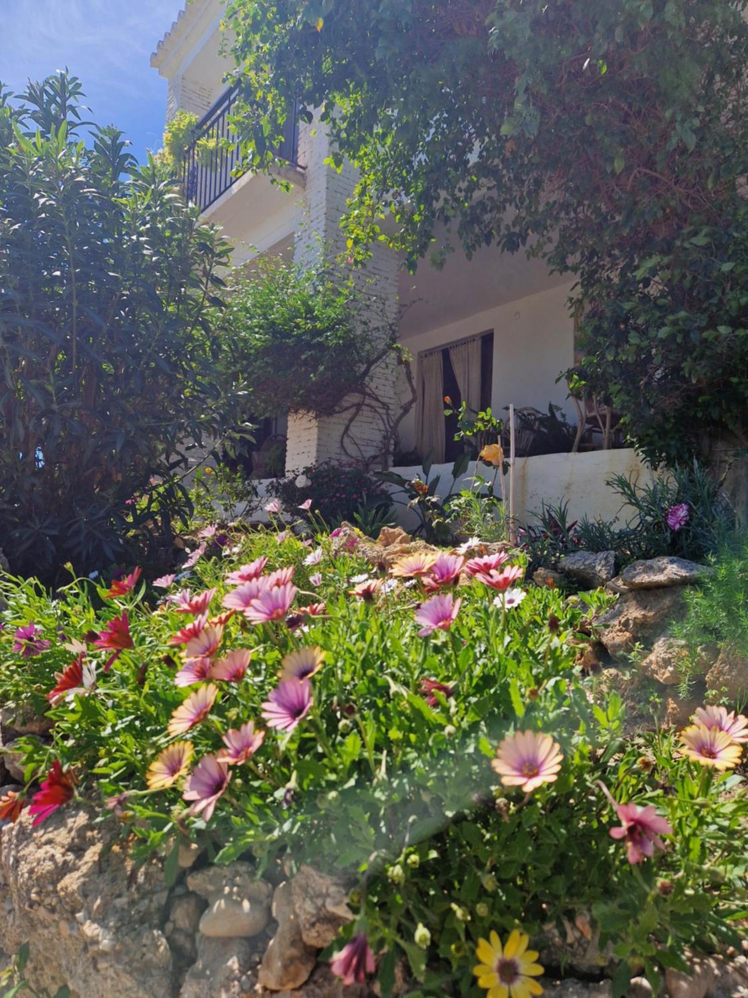Cortijo Nerja Artist Paradise Extérieur photo