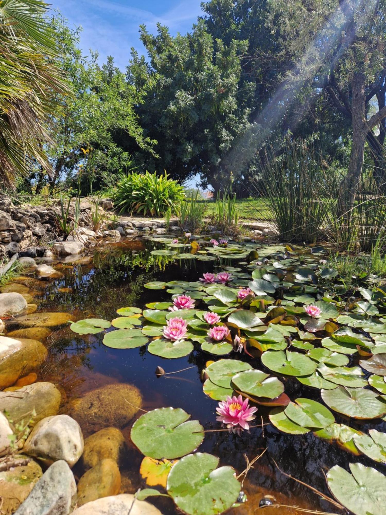 Cortijo Nerja Artist Paradise Extérieur photo